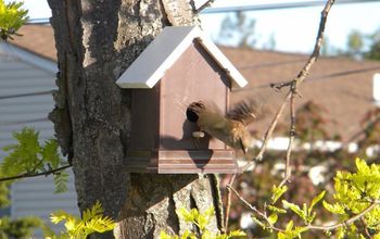 Easy DIY Fence Post Birdhouse