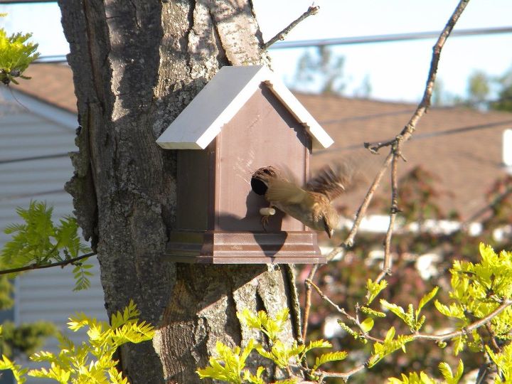 easy diy fence post birdhouse