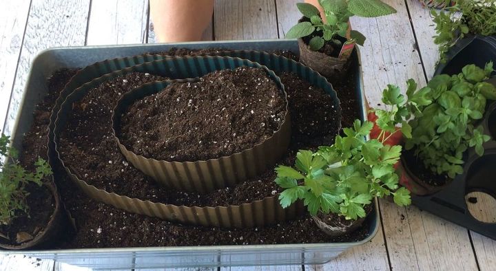 s 10 unique ways to plant your herb garden, Create A Sprawling Garden Of Herbs