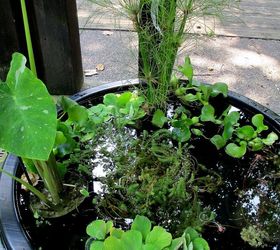 30 unbelievable backyard update ideas, Create your own water garden for some zen