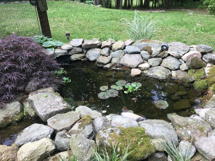 30 increbles ideas para actualizar el patio trasero, Construye un peque o estanque koi
