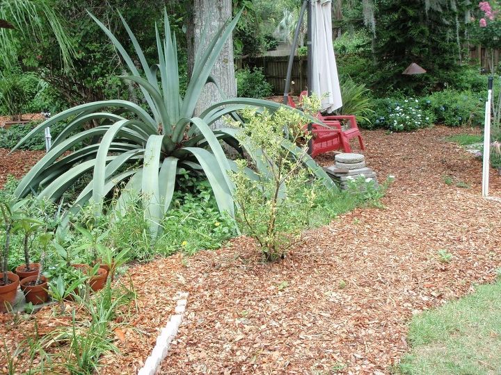 Keeping Weeds Out Of Wood Chip Path Hometalk Keeping Weeds Out Of Wood Chip Path Hometalk