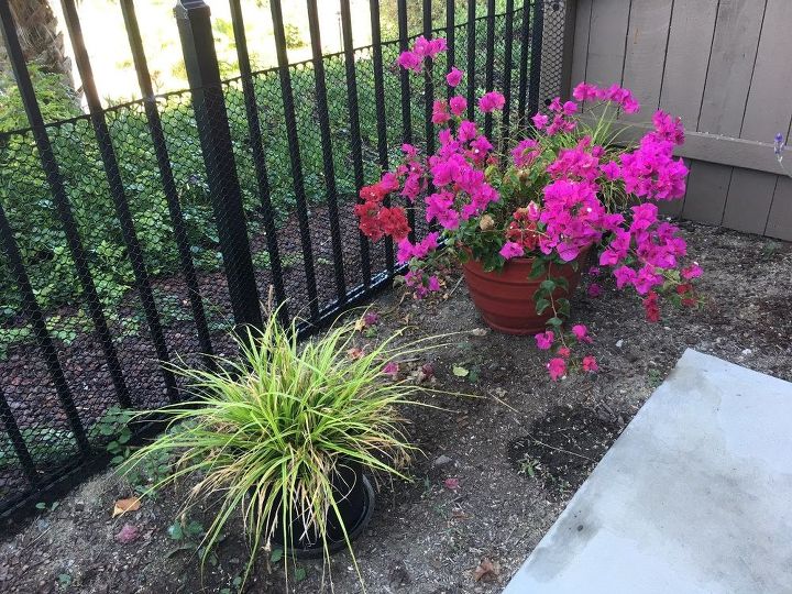 q what to do with dirt around patio edge