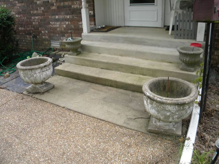 q is there a right plant to grow in a concrete pot