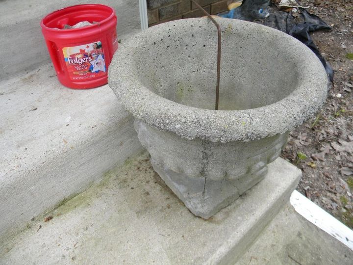 q is there a right plant to grow in a concrete pot