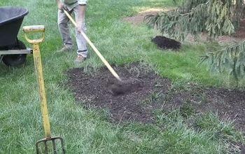 How to Make Grass Grow Fast & Fix Bald Spots