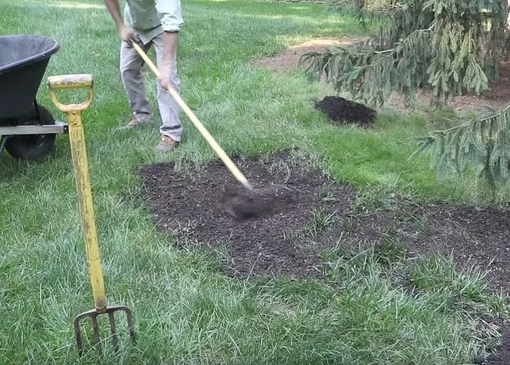 how to make grass grow fast fix bald spots