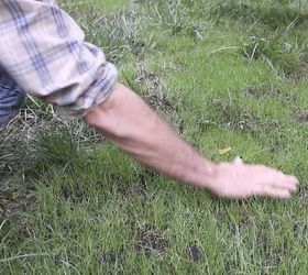 how to make grass grow fast fix bald spots