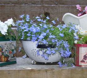 s 15 lovely repurposed items perfect for your garden, Recycle Candy Tins Into Garden Containers