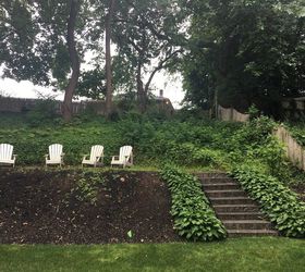 What to plant in Backyard hill plants (shady area)? Hometalk