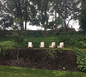 Best Plants For Shady Areas