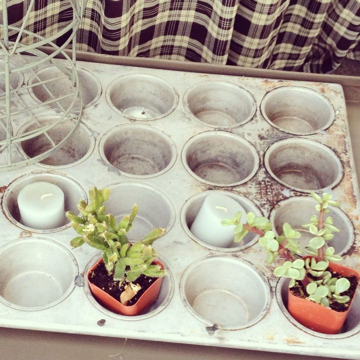 31 clever ideas to reuse muffin pans and cupcake liners, Have A Home For Your Succulents