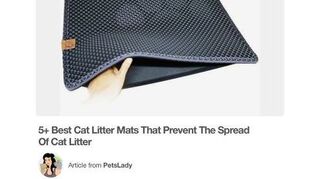 I M Looking For Something To Use Under Litter Boxes To Protect Carpet Hometalk