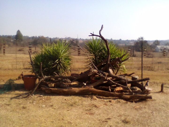 q how do i make a stumpery i have all the tree trunks how do i proceed