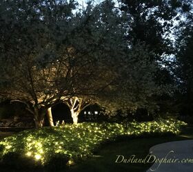 If You Want Your Yard to Sparkle at Night, Try This!