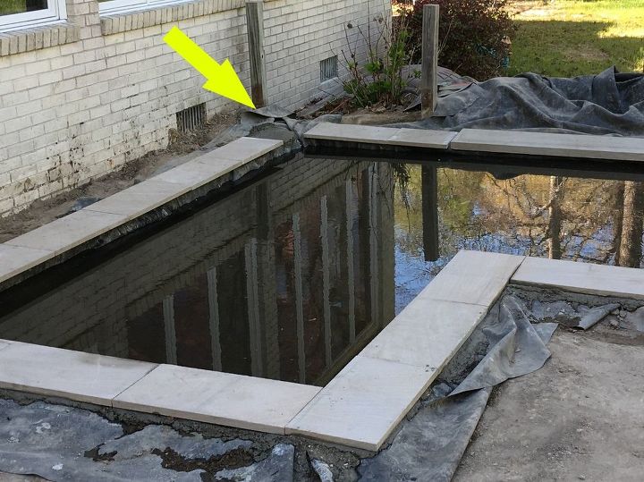 diy modern backyard koi pond on a budget