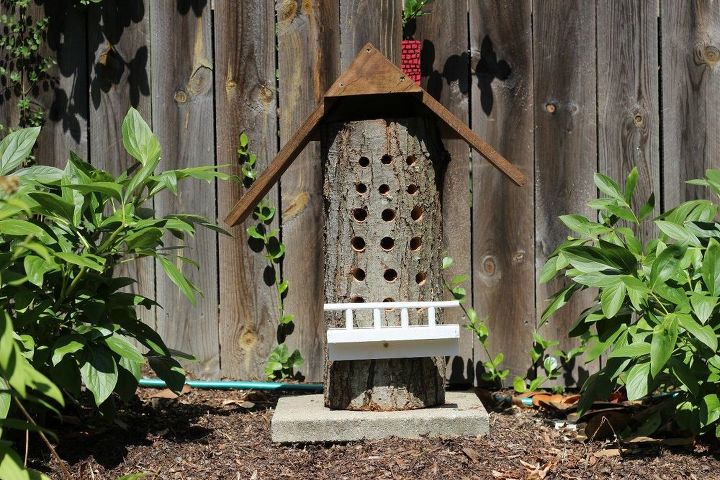 a incrvel casa de abelhas que meu marido construiu