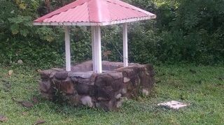 I Have Been Looking For A Creative Way To Hide My Well Pump Hometalk