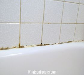 https://cdn-fastly.hometalk.com/media/2017/07/11/4014629/how-to-get-rid-of-black-mold-in-your-shower-caulking.jpg?size=720x845&nocrop=1