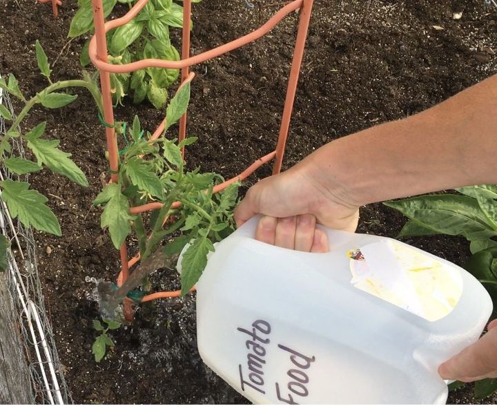 epsom salt for your plants inside and out