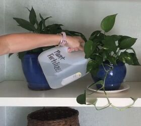 Epsom Salt for Your Plants - Inside and Out
