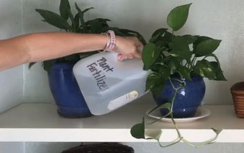 Epsom Salt for Your Plants - Inside and Out