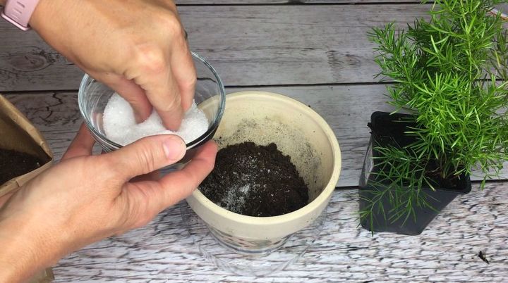 epsom salt for your plants inside and out