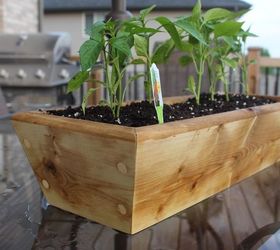 simple planter box for your vegetables or flowers