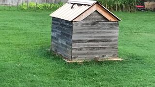 I Have Been Looking For A Creative Way To Hide My Well Pump Hometalk