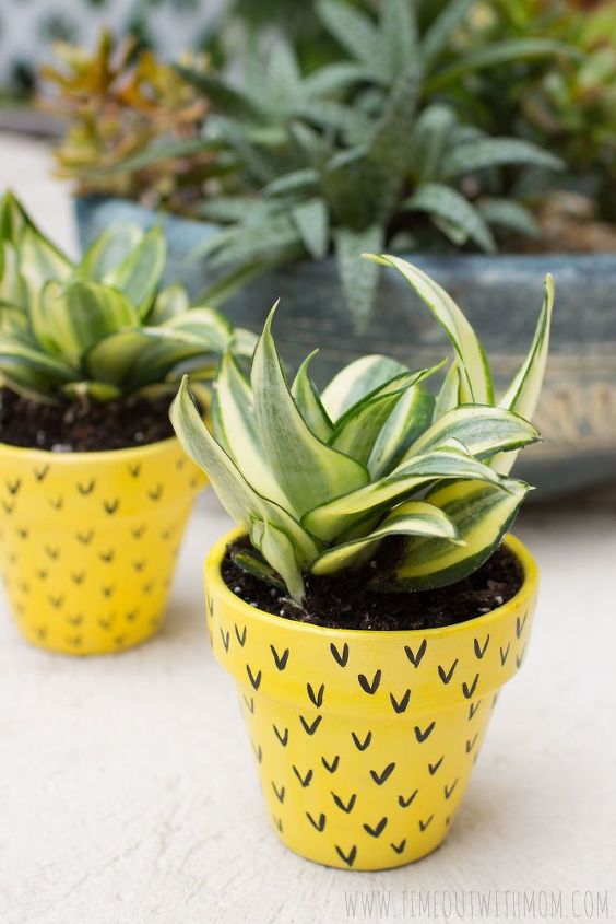 s 15 exquisite ways to show off your prized flowers, Paint A Pineapple Onto Flower Pots
