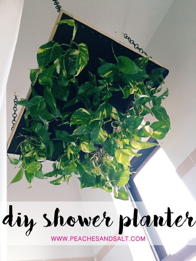 15 maneiras requintadas de exibir suas flores preciosas, Plantador suspenso para o chuveiro