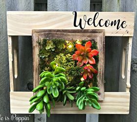 succulent address or welcome sign planter
