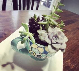 q what s the best soil for indoor succulents