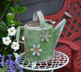 growing flowers and summer blooms around the potting shed