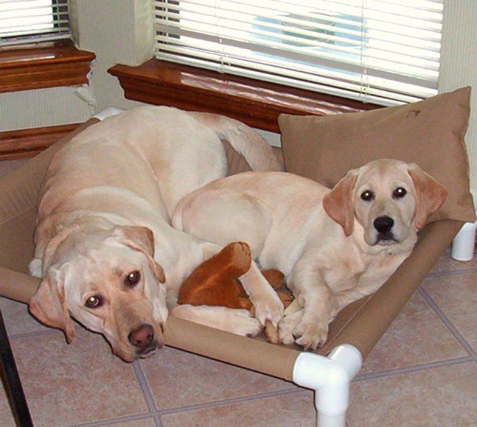 what do you do with leftover pvc pipes try these 27 clever uses, Create A Cozy Hammock For Your Pup