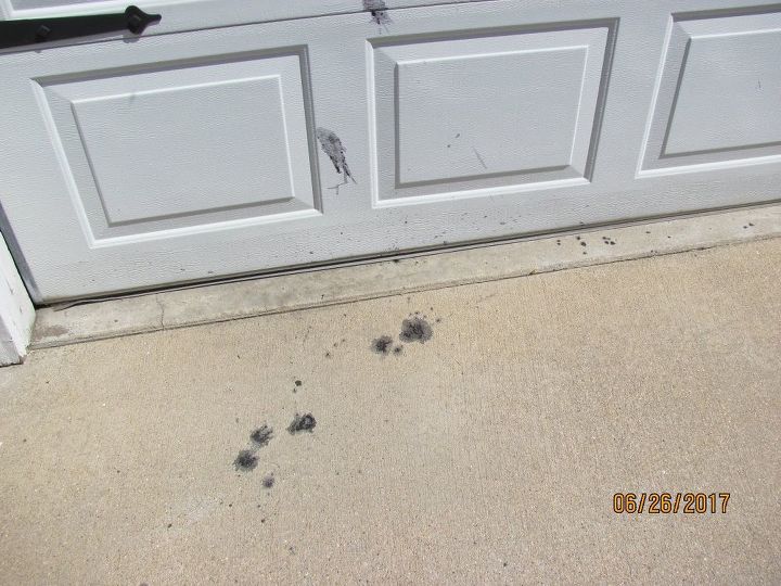 q are these stains made by birds or vandals