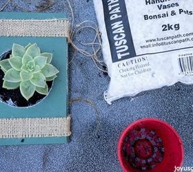 how to create succulent planters from vintage books