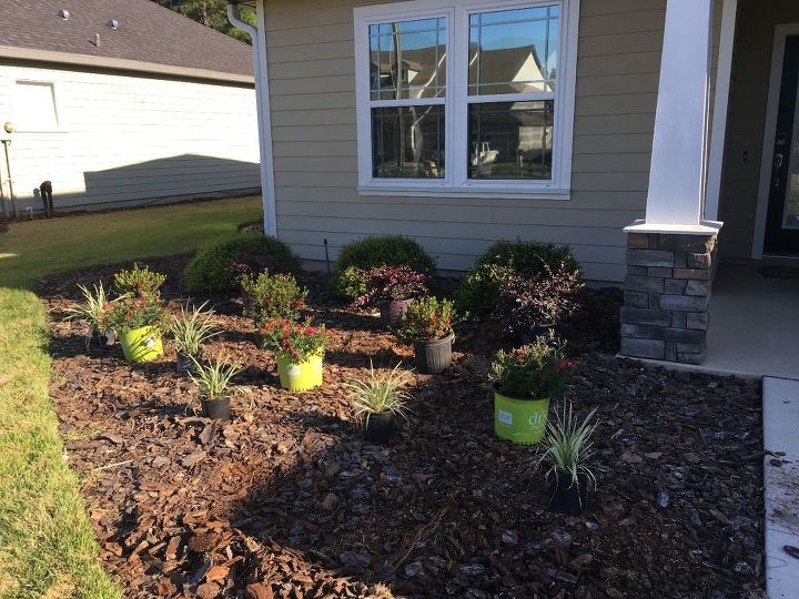 new landscaping