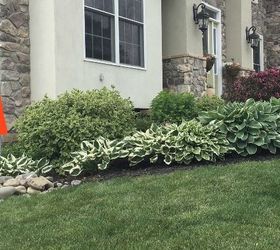 You're About to Be Obsessed With This Sloped Yard Idea
