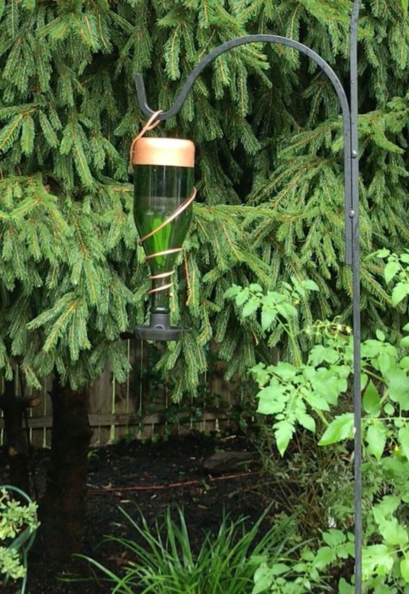 5 ways to use old wine bottles in your garden