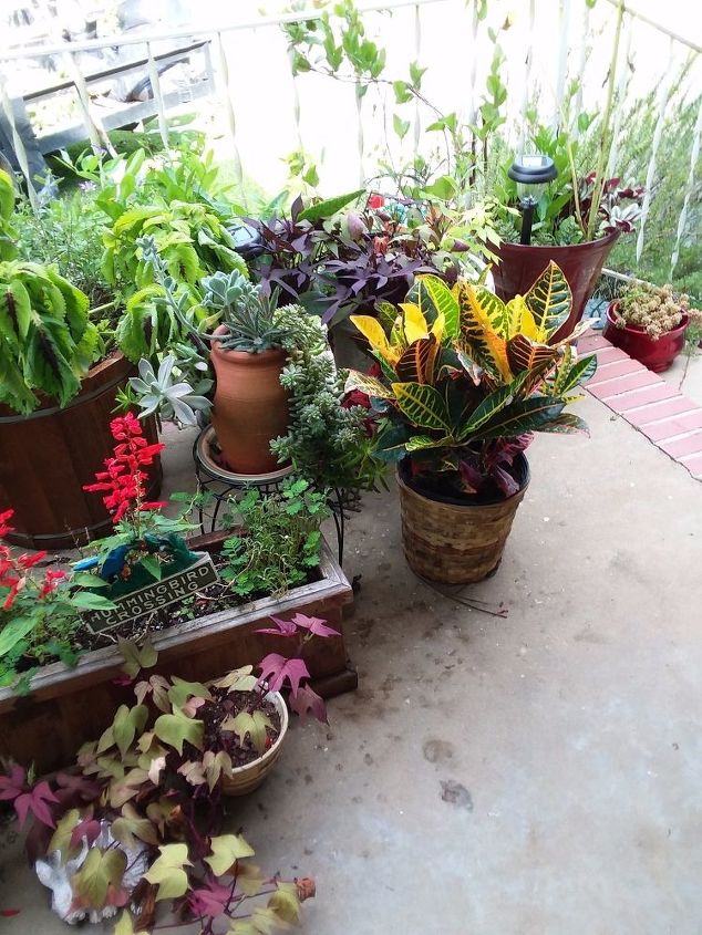 my porch garden
