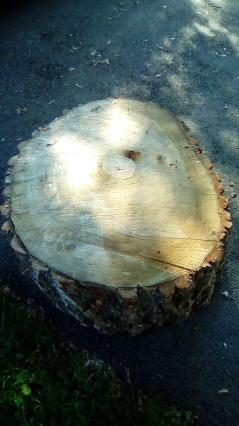 q big slice of wood what to do with it