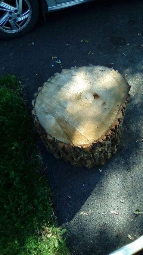 q big slice of wood what to do with it