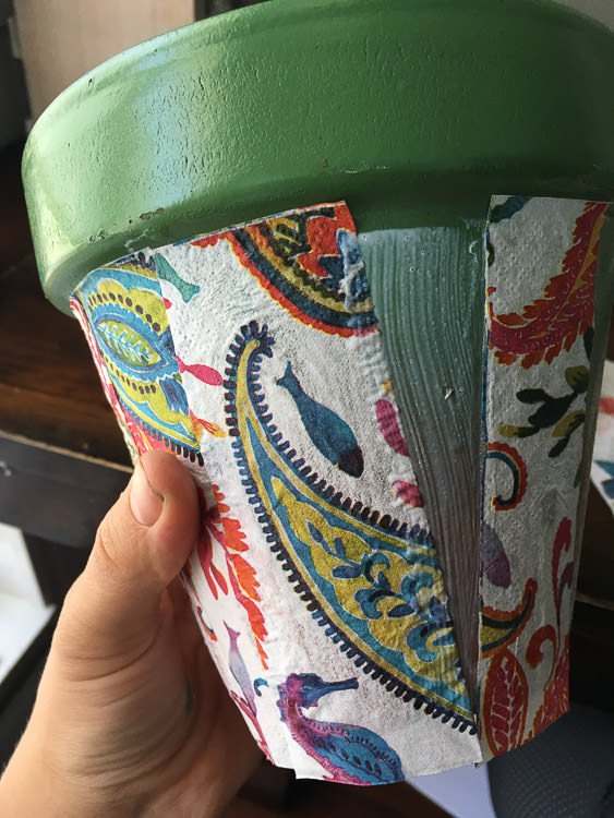 update a terracotta pot for summer