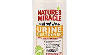 How Can I Get Urine Odor Out Of Clothes Hometalk