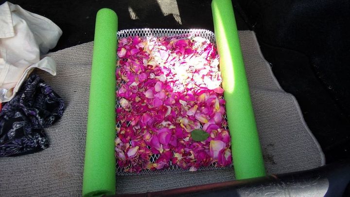 secador de flores del maletero del coche