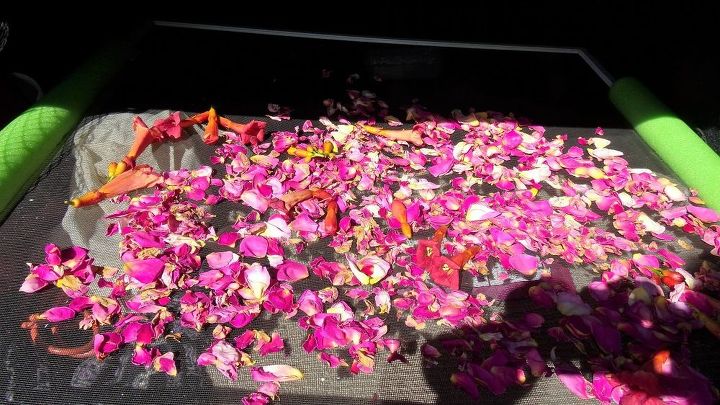 secador de flores del maletero del coche