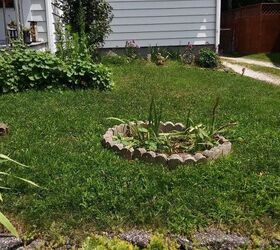 Weeds!! Dig up flowers or tarp first? | Hometalk