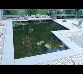 DIY Moderno patio trasero estanque koi en un presupuesto