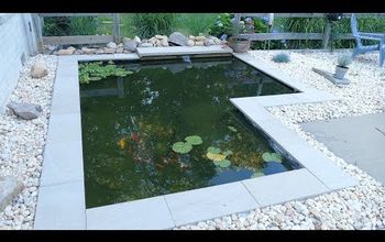 DIY Moderno patio trasero estanque koi en un presupuesto